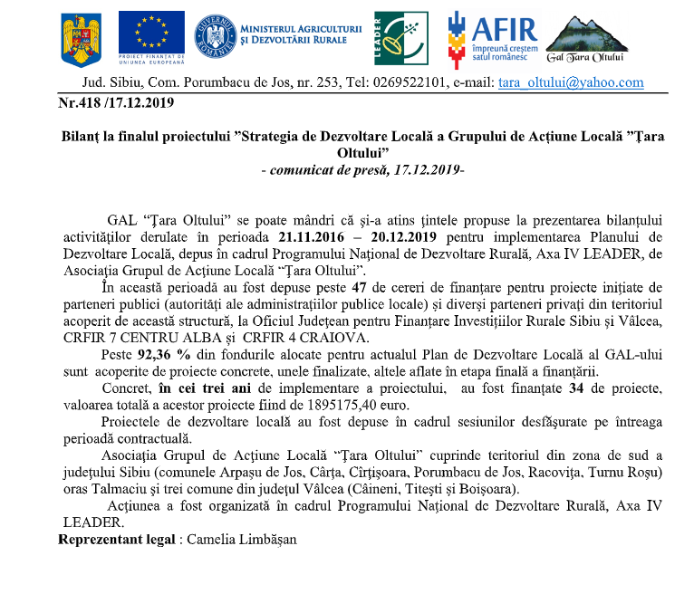 bilant la finalul proiectului